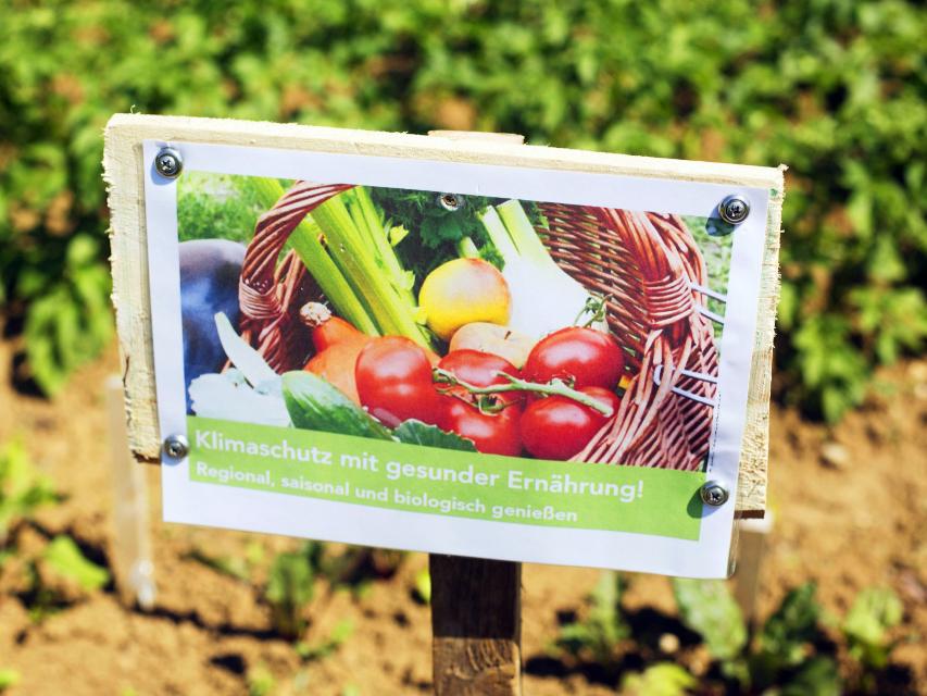 Ein Schild mit verschiedenen Gemüsesorten.
