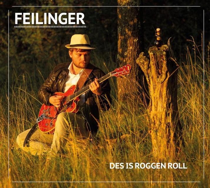 Rock und Liedermacherei aus Franken   Musik mit Manuel Feilner - Feilinger & Friends