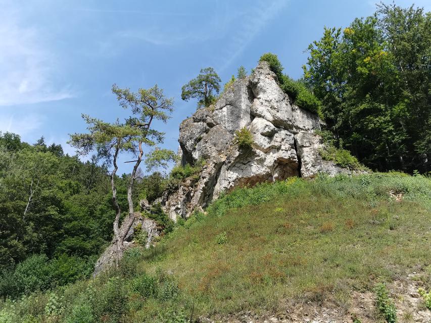 Ein großer Felsbrocken auf einem grünen Hügel