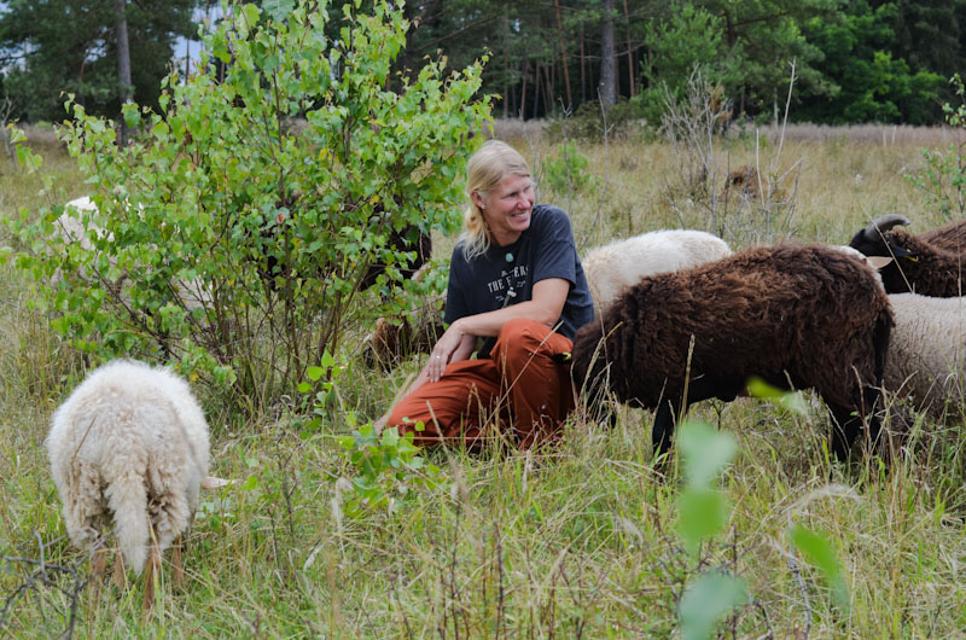 Eine Frau kniet auf einer Weide, um sie herum viele Schafe