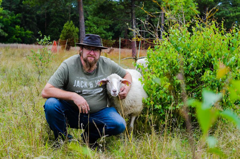 Ein umarmt ein Schaf auf der Weide.