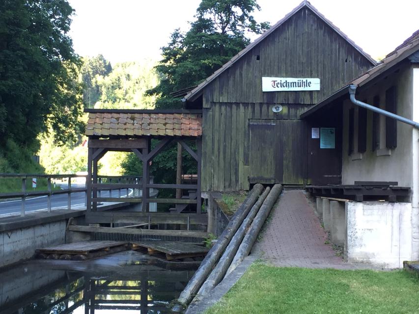 Die Teichmühle an der Rodach, urkundlich bereits 1507 erwähnt, hat als eine der letzten von einst 154 Schneidsägen das große Mühlensterben des 20. Jahrhunderts im Frankenwald überlebt und wird heute als Museum genutzt.Die Teichmühle bietet 2021 auf Grund von Bauarbeiten bis auf Weiteres keine Sonntagsführungen mehr an.