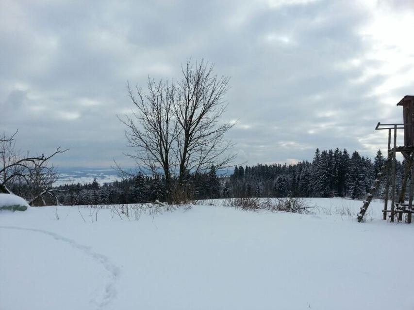 Winter im Frankenwald