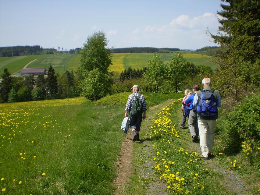 Nicht nur der Galgenberg bei Rothenkirchen lässt dem Wanderer Weite atmen - auch die Teuschnitzer Höhe bietet immer wieder herrliche Ausblicke über den Frankenwald.