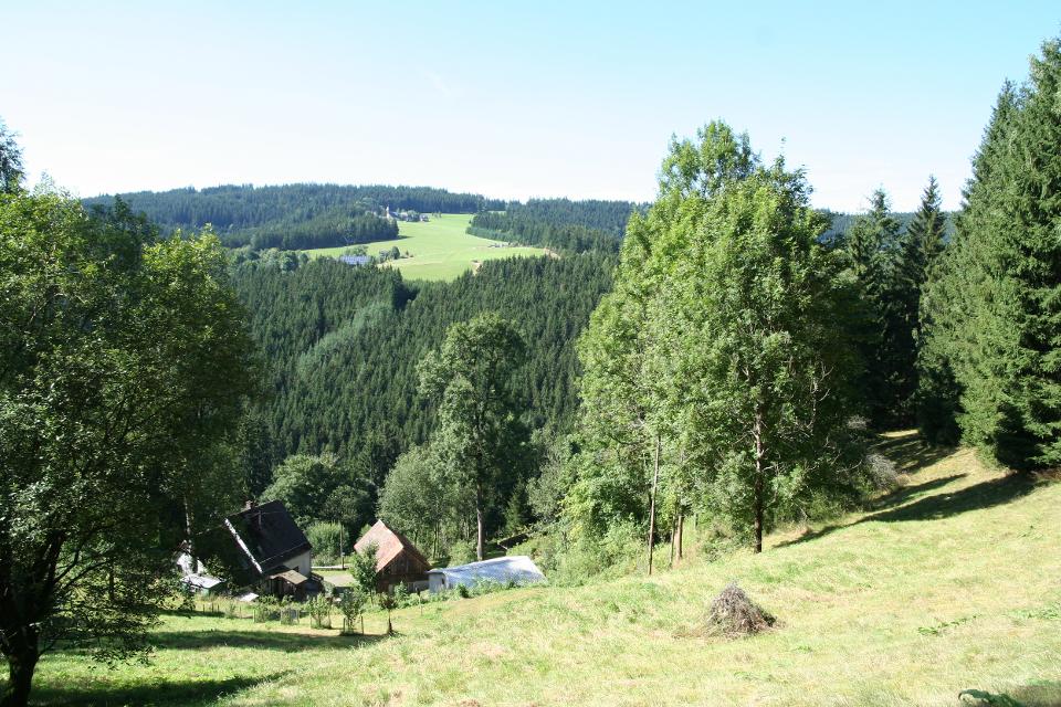 Von Gemeinreuth über die Lorchenmühle zur 900jährigen Eibe und durch Bernstein am Wald über die Höhe zurück.