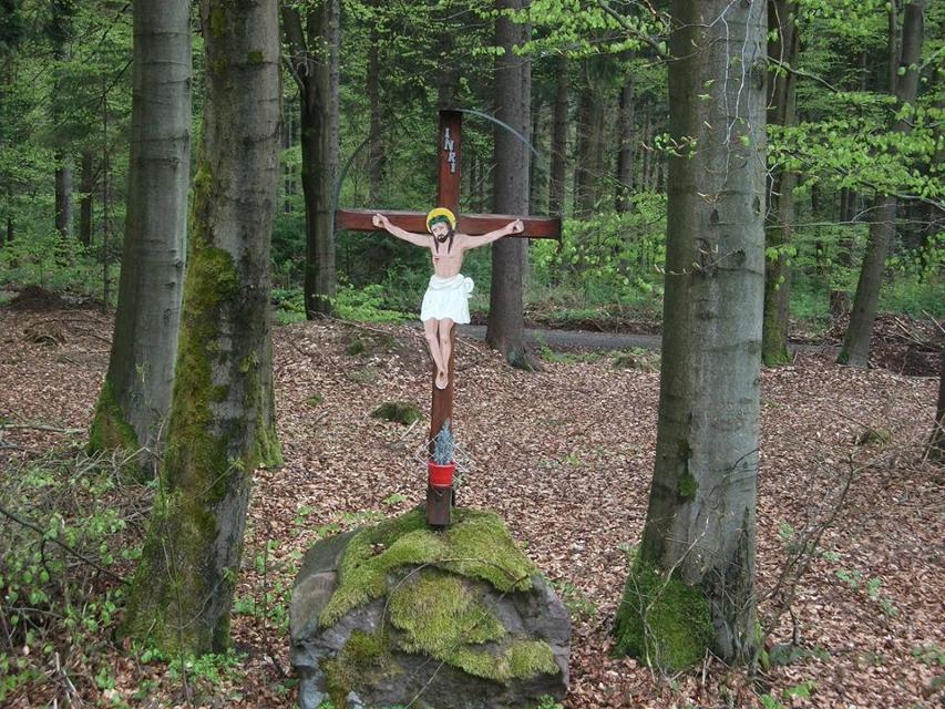 Woher der Weg seinen Namen hat? Von den vielen Kreuzen am Wegesrand! Doch nicht nur diese machen eine Wanderung im Rohenkirchener Forst zu einem Erlebnis.