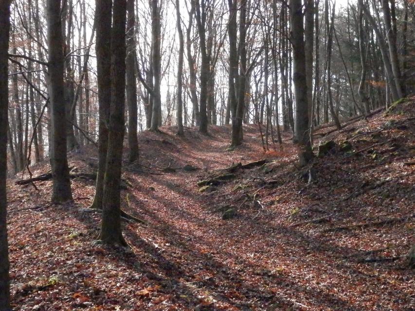 Geschichte erleben am Grünbürg-Weg. Die Wanderung durch abwechslungsreiche Wälder gespickt mit grandiosen Aussichten führt zur Ringwallanlage aus dem 9. Jahrhundert.