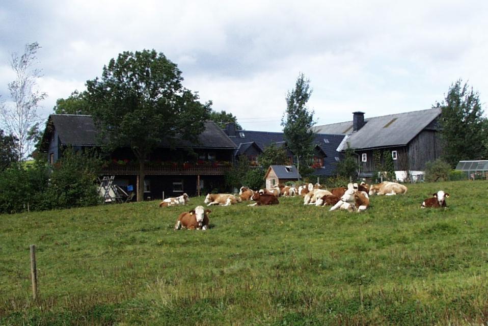Urlaub auf dem Dauma(Bauern)hof. Der Daumahof ist ein ökologisch bewirtschafteter Bauernhof, der am Ortsrand der kleinen Gemeinde Reichenbach gelegen ist