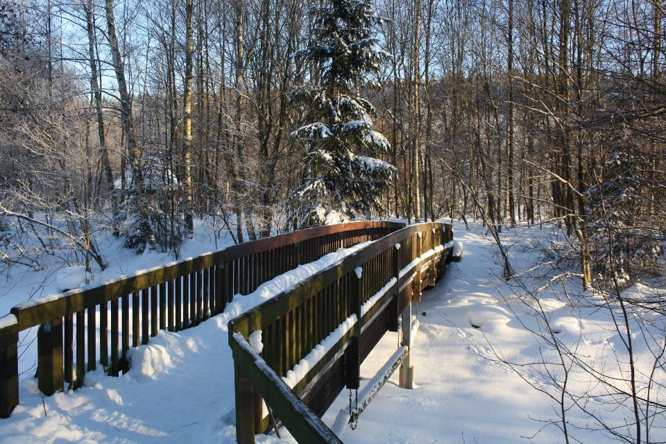 Toller Winterwanderweg rund um den Untreusee in Hof.  Im Winter wird der Rundweg um den Untreusee zum geräumten Winterwanderweg. 