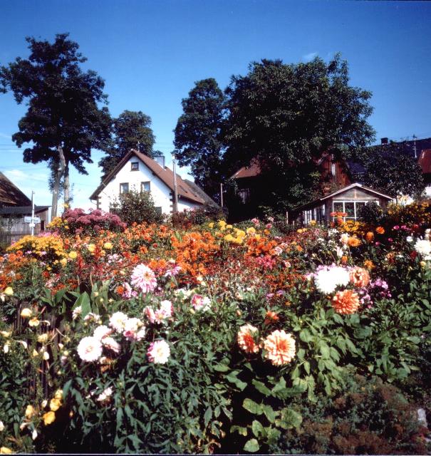 Besuchen Sie einen der schönsten Orte Bayerns. Im Rahmen des Wettbewerbs „Unser Dorf soll schöner werden“, wurde der Gemeindeteil Weickenreuth 1993 Bundessieger. Die herrlichen Bauerngärten mit der Blumenpracht bestehen bis heute.