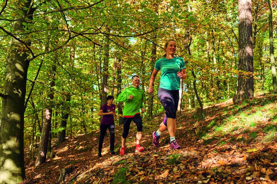 Das Bild zeigt einen Laubwald im Herbst. Drei Personen joggen auf einem schmalen Pfad
                 title=