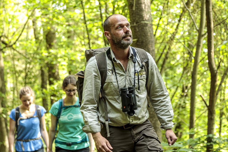 Das Bild zeigt drei Personen, die durch einen Laubwald wandern. Eine Person ist ein Naturpark-Ranger. Er trägt ein Fernglas um den Hals.