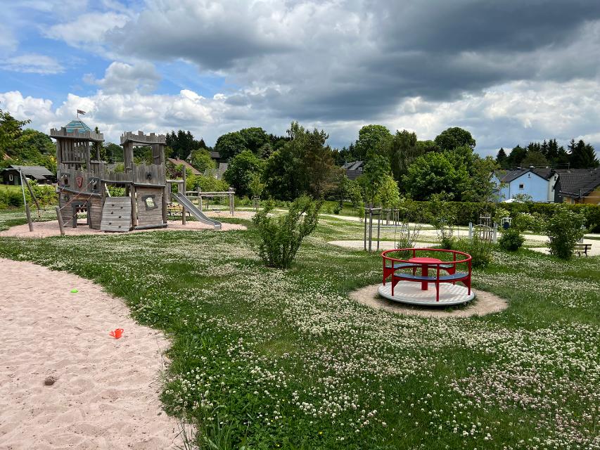 Das Bild zeigt einen Teil des Spielplatzes in Reichenbach. Es gibt ein Karussell, einen Fitnessanlage, einen Sandkasten und eine Ritterburg zum Klettern und Rutschen.