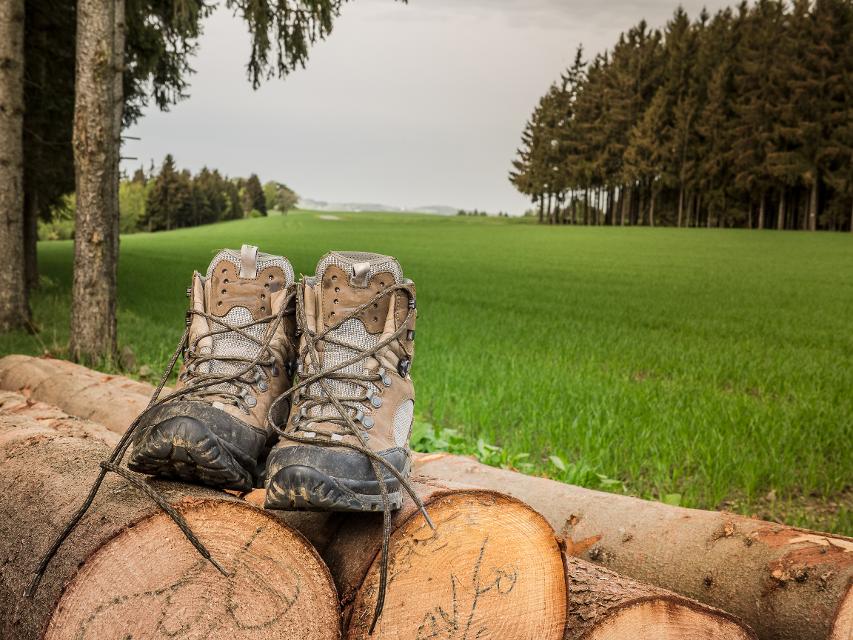 Das Bild zeigt ein Paar Wanderschuhe, das auf einem Holzstapel steht. Im Hintergrund sind Bäume und eine grüne Wiese zu sehen.