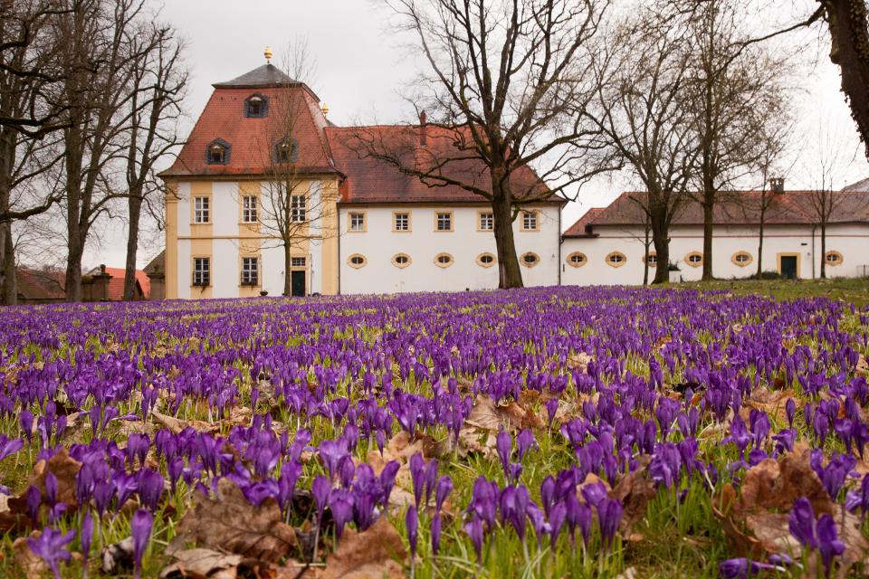 Einstimmung in den Frühling mit dem Bamberger Streichquartett im Innenhof des Barockschlosses Oberschwappach.