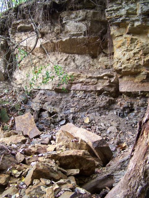 In der geologisch spannenden „Kuhsteige" wird ein Großteil der Schichten der Haßberge erklärt.