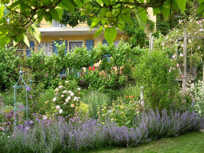 Besichtigen Sie einen Naturgarten mit dem Gartenbesitzer bei einer Führung.