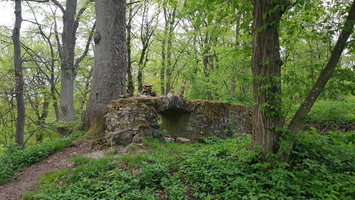 Einen Geheimtipp entdecken bei der abwechslungsreichen Natur-Kultur-Erlebnisführung zur Ruine Wildberg!