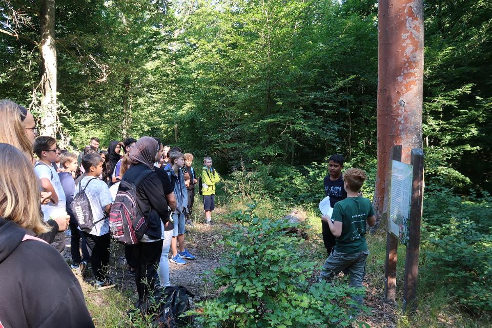 SchülerInnen der Mittelschule übernehmen Verantwortung für Wald-Natur als Mini-Wald-Ranger