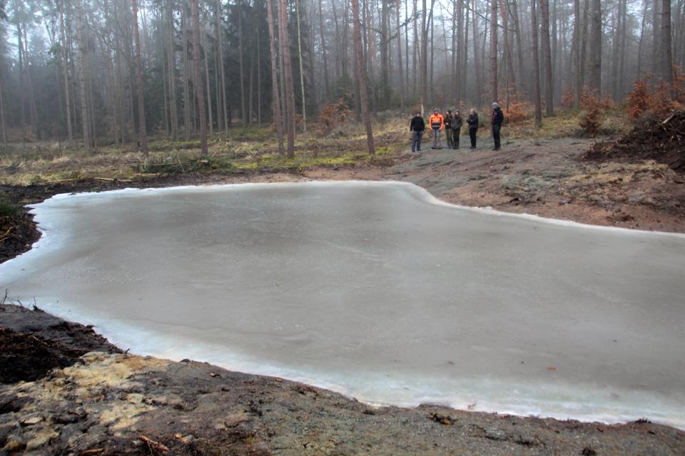 Gemeinsam mit der Försterin Julia Bischof vom AELF hat der Naturpark Haßberge auf einer Waldfläche der Gemeinde Sulzdorf a.d.L. ein Feuchtbiotop angelegt. 