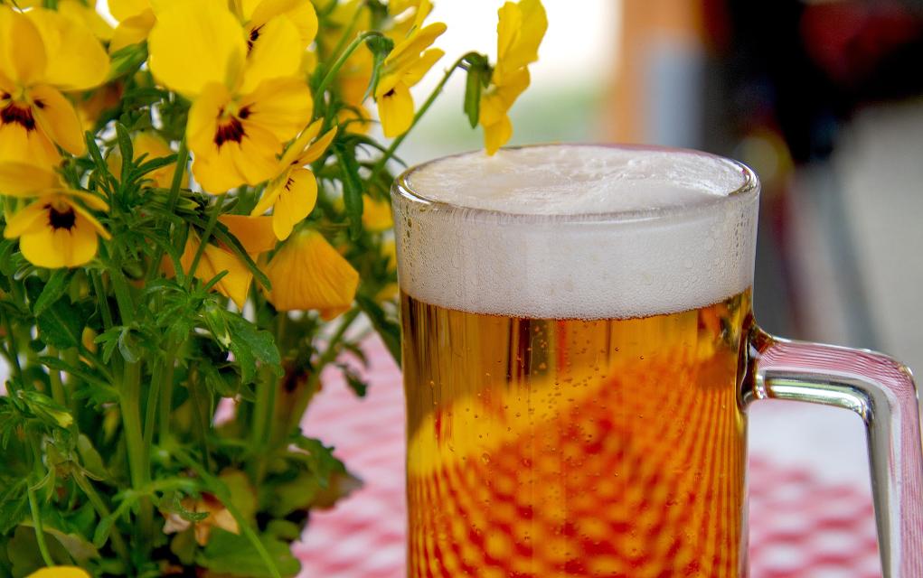 … das Fest für Liebhaber von Bier und Blasmusik! Im Ausschank: das unfiltrierte, süffige Bucher Hausbraubier.