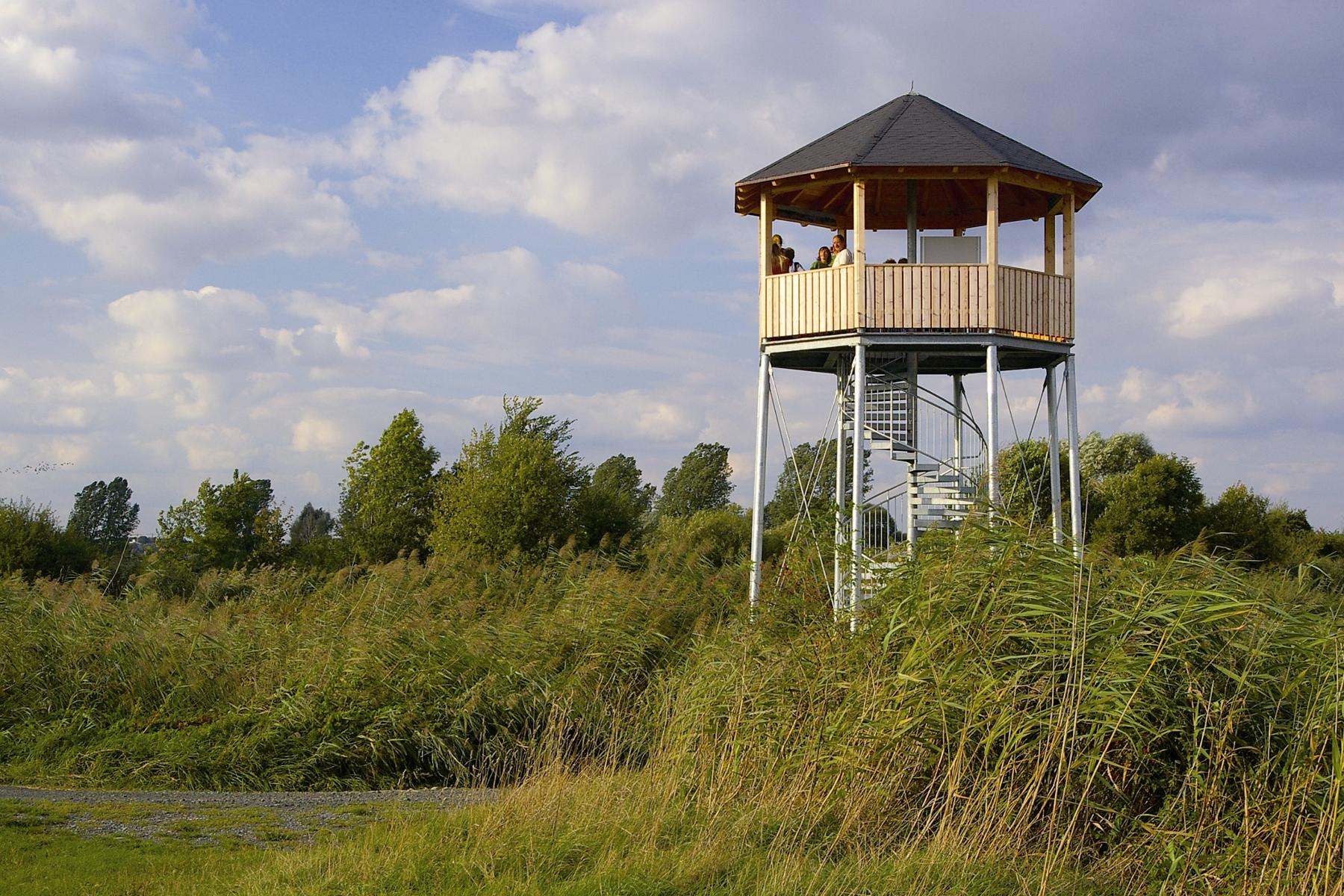 Das Naturschutzgebiet Vogelfreistätte Graureiherkolonie bei Dippach am Main beherbergt die größte Graureiherkolonie Süddeutschlands.
