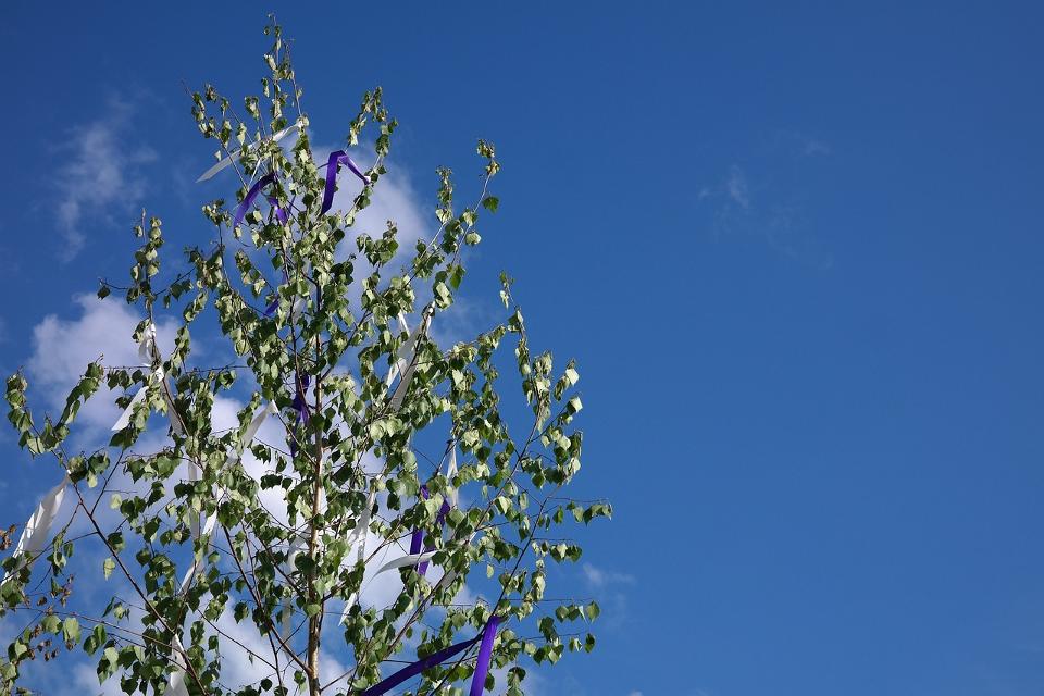 Mit der Tradition des Pfingstbaumaufstellens möchte man den Frühling begrüßen.