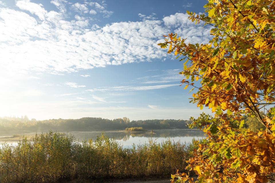 Bunte Herbstfärbung am Oldenstädter See