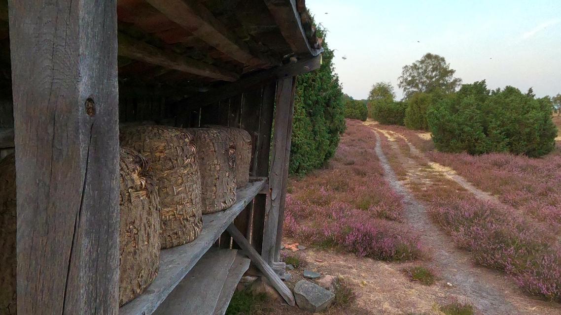 Bienenstand in der Ellerndorfer Heide
