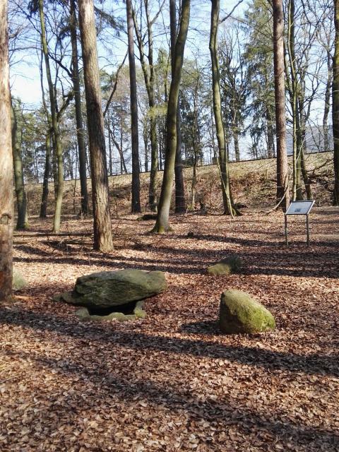 Auf dem Bild sind große Steinanlagen im Wald zu erkennen.