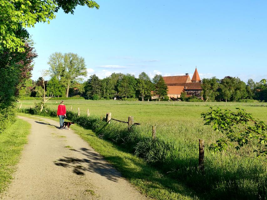 Der reizvolle Rundwanderweg bei Ebstorf führt durch Felder, Wiesen und abwechslungsreiche Waldstücke.