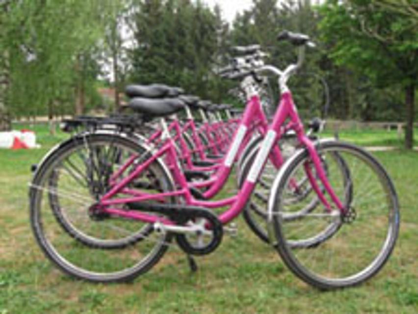 Kostenlose E-Bike-Ladestation sowie Farradverleih (kein Fahrrad-Reparaturservice), Kanuverleih, am Minigolfplatz