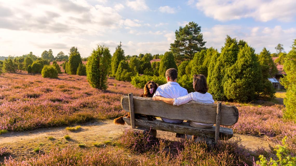 Pärchen sitzt mit Hund auf einer Bank in der blühenden Ellerndorfer Heide