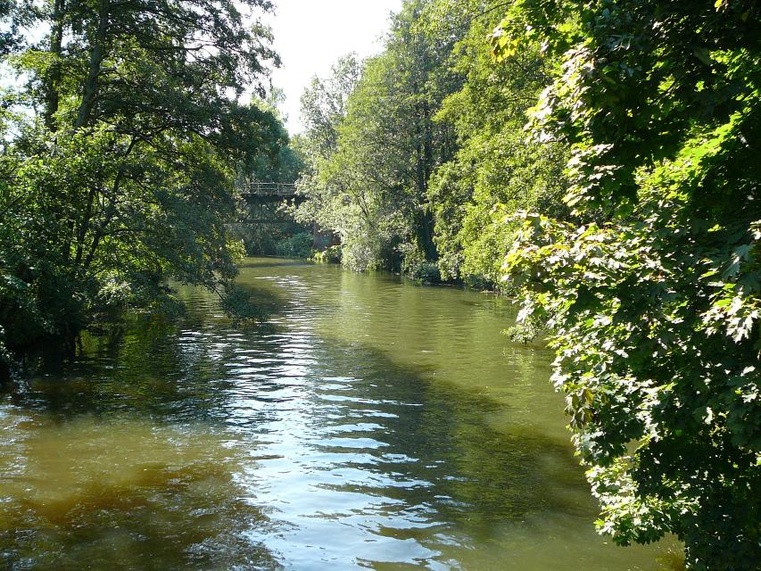Die nahe Lüneburg breit durch einen Wald fließende, sonnenbeschienene Ilmenau 