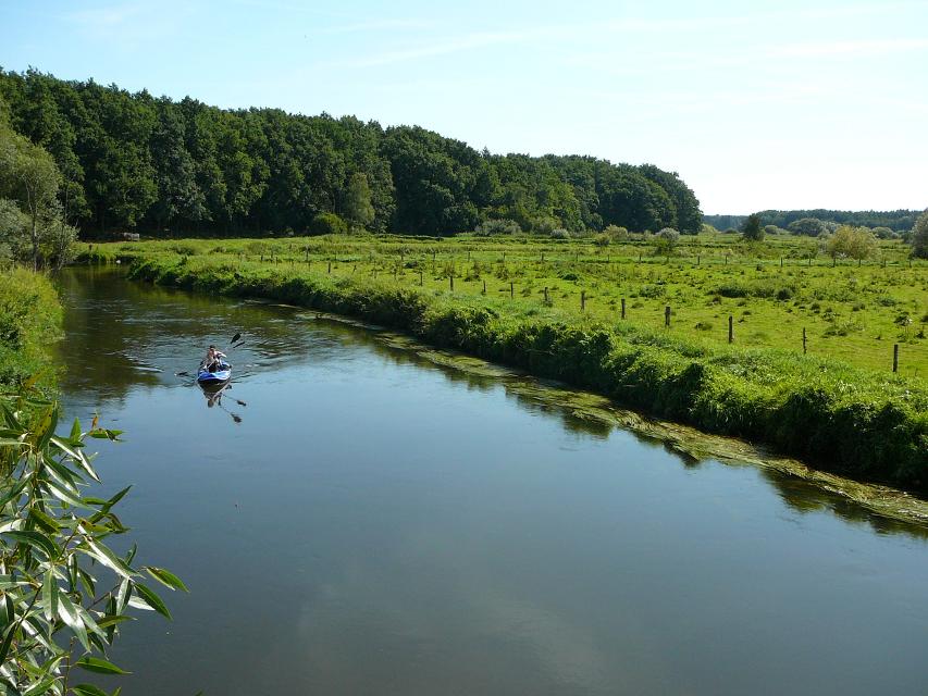 Ein Kanu mit Doppelpaddel auf der zwischen Wald und Wiesen fließenden Ilmenau