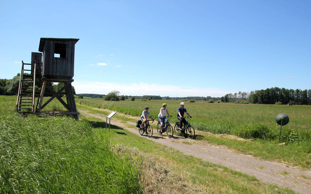 Eine Familie (jugendlicher Sohn, Mutter, Vater) fährt mit ihren Fahrrädern auf dem unbefestigten Feldweg zwischen einem hölzernen Aussichtsturm und den Bodenteicher Seewiesen