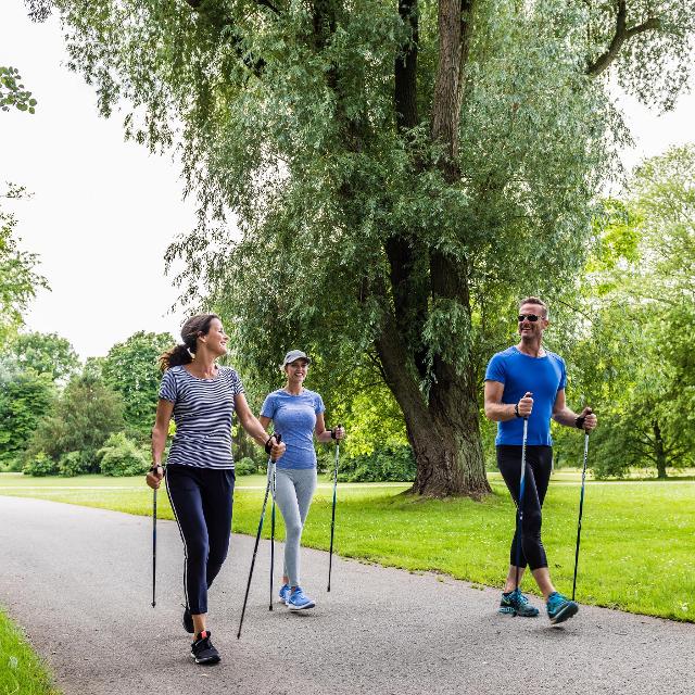Am meisten Spaß macht Nordic Walking und die größten gesundheitlichen Effekte hat es, wenn man die beiden Stöcke auch technisch richtig einsetzt: Das Gehen fällt leichter, das Tempo steigert sich, Gelenke und Knochen werden entlastet und die Muskulatur wird effizienter trainiert als durch manch 