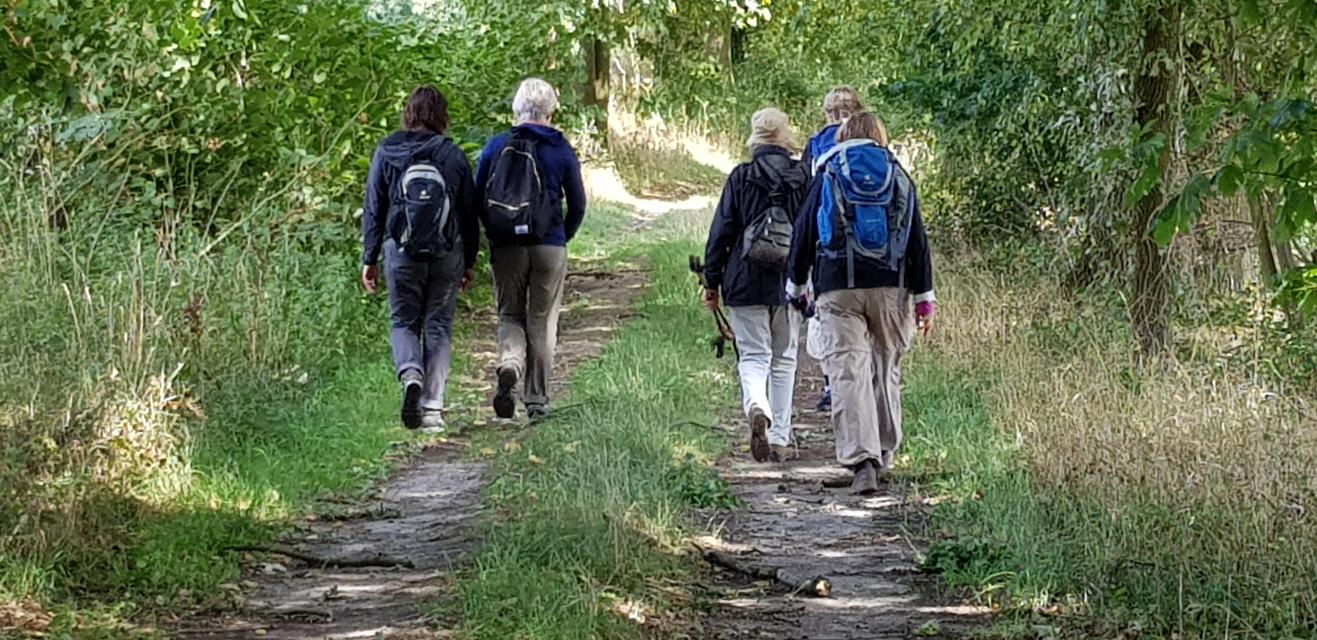 Vier Personen beim Pilgern auf einem Waldweg in der Heideregion Uelzen
                 title=