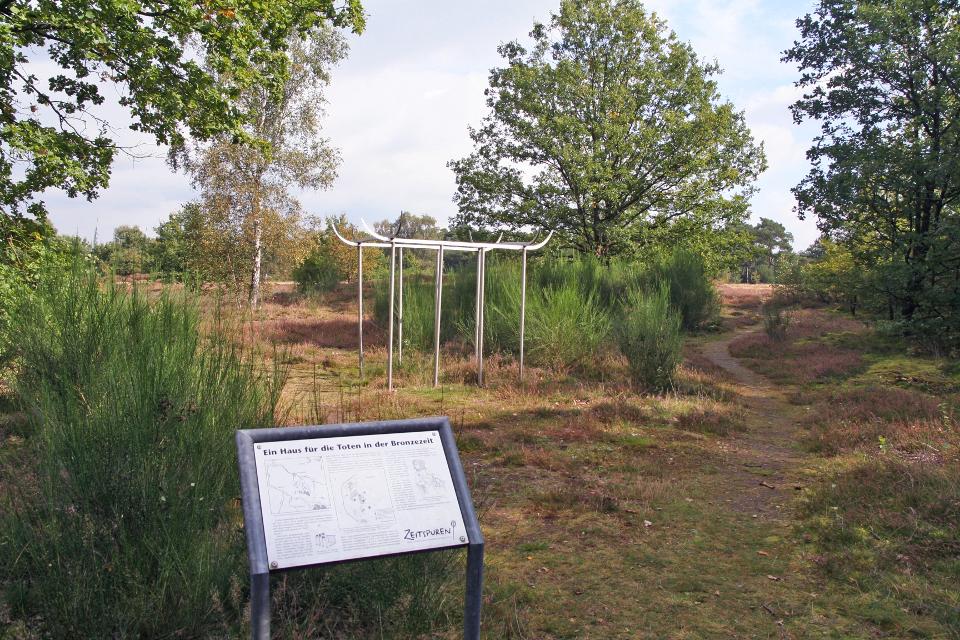 Heidefläche mit Modell und Schild in der Addenstorfer Heide