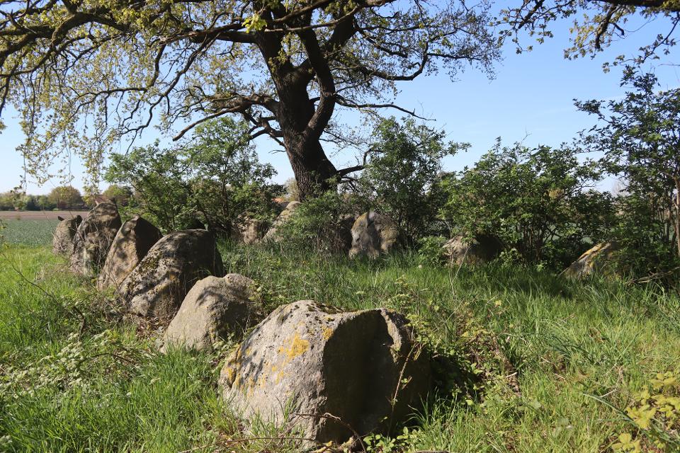 Die Großsteingrabanlage bei Kahlstorf stammt aus  der Jungsteinzeit und ist somit rund 5.000 Jahre alt.