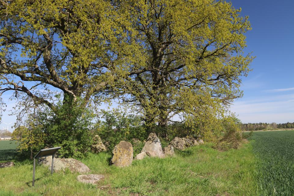 Großsteingrab in Kahlstorf, Blick auf den Steinkreis mit 26 Meter Länge
