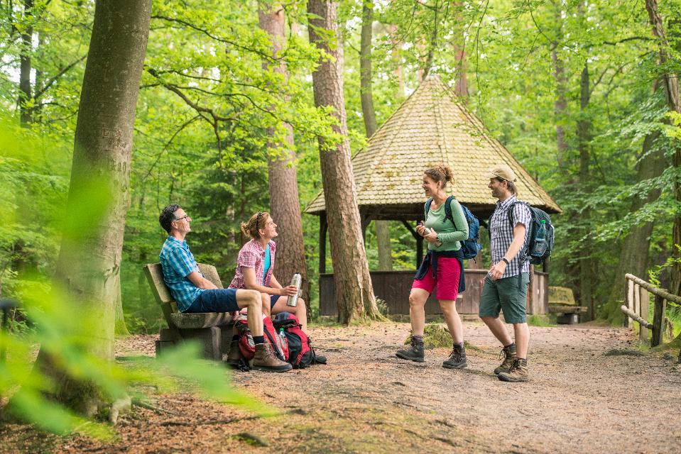 Vier Wanderer im Wald neben Holzhütte