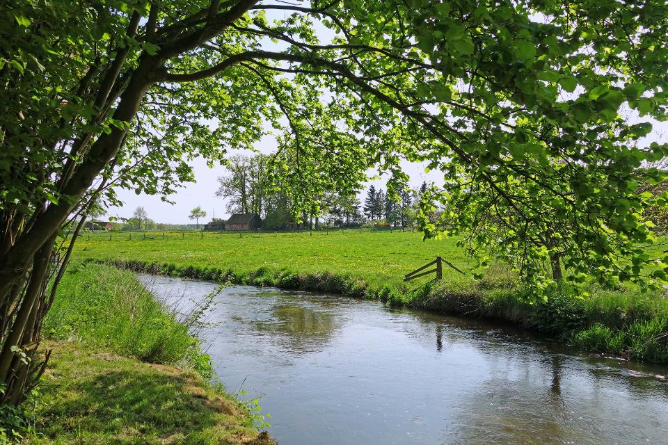 Fluss Gerdau fließt von vorne rechts nach hinten links mit Bäumen und Wiese 