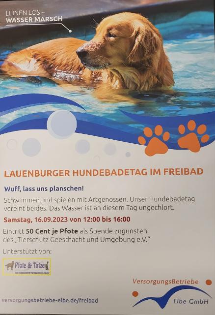 8. Hundebadetag im Freibad Lauenburg am 16.09.2023