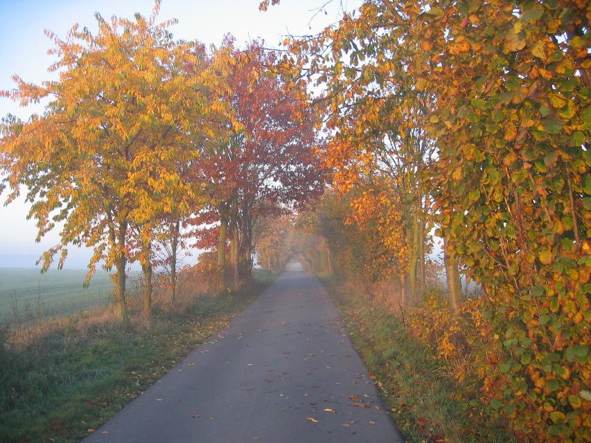 Ein ca. 8 km langer Wanderweg am Wiesensee entlang, durch den kleinen Ort Altenebstorf,an der Bahn entlang und dann durch die Felder und über die 