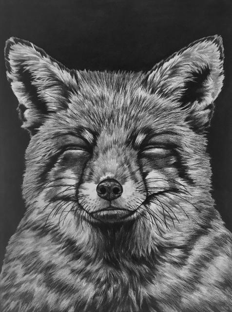 Grossformatige Bleistiftzeichnungen auf Leinwand mit Bleistift und Acryl auf Leinwand kritische Arbeiten zum Thema: Tier-Menschbeziehung Klimaspiegelpinguine