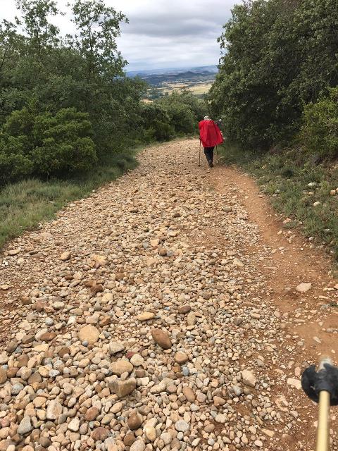 Martin Wedig erzählt von seiner Wanderung auf dem Camino Francés, dem klassischen Jakobsweg, der quer durch den Norden Spaniens von den Pyrenäen nach Santiago de Compostela führt.