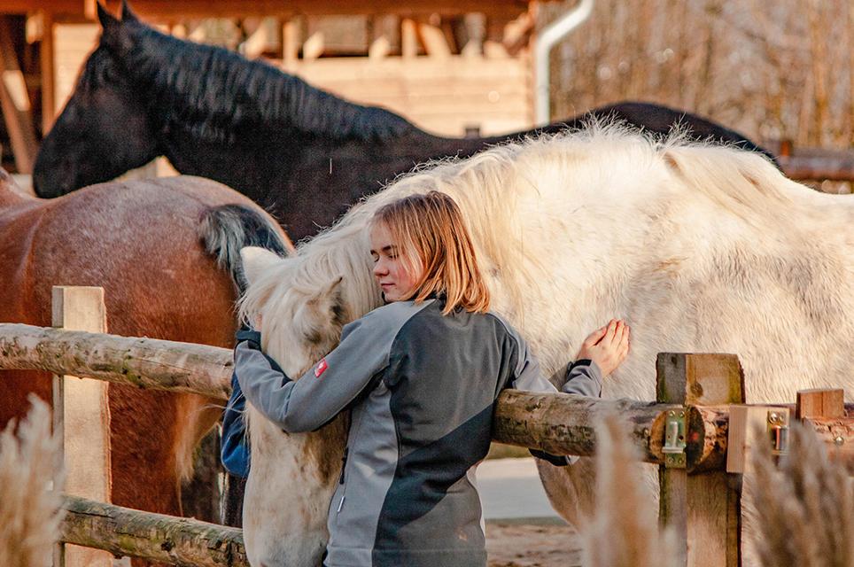 Das landwirtschaftliche Jahr ist fast vorüber und wir bringen euch auch beim dritten Hoffest noch einmal eine andere Seite unserer Arche-Tiere näher! Mit tollen Aktivitäten für die Kleinen – vom Ziegen- & Schafe-Streicheln über Esel-Striegeln und Pony-Reiten ...