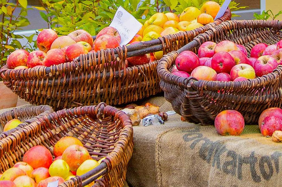 Der Oktober bringt uns in erfüllte Erntedank- und damit Apfeltag-Stimmung! Der Apfel ist nicht nur ältestes Kulturgut, sondern auch unglaublich wandelbar. Die Frucht war bekanntlich schon im Paradies dabei, sie begleitet uns in Mythen...