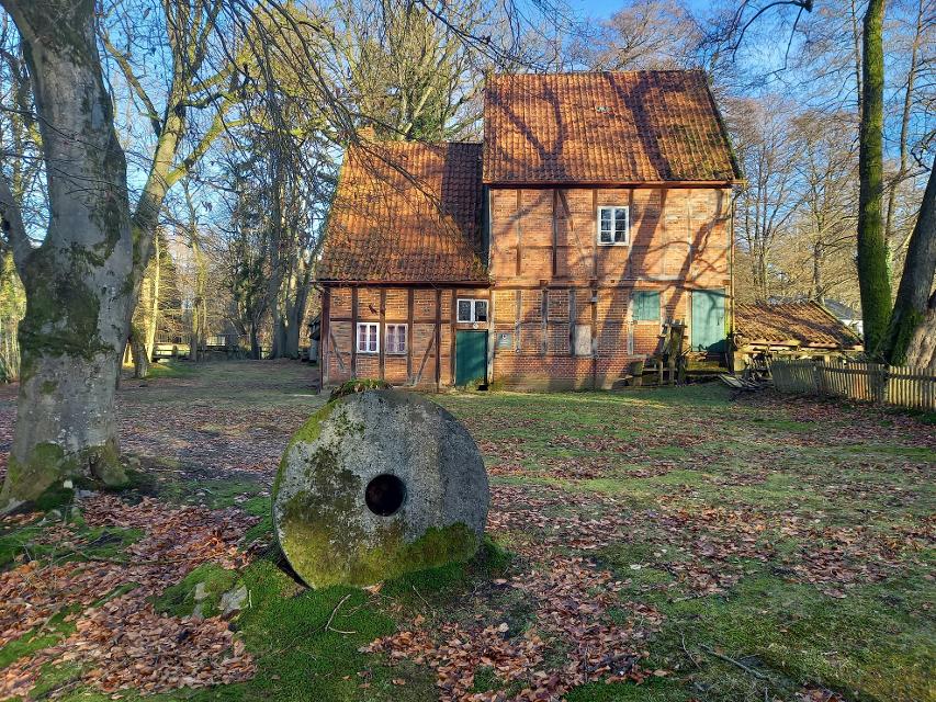 Der Naturpark Lüneburger Heide präsentiert: Die Wanderung 